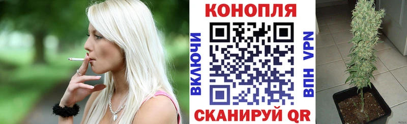 Наркошоп купить APVP  МЕФ  Амфетамин  Гашиш  Советск