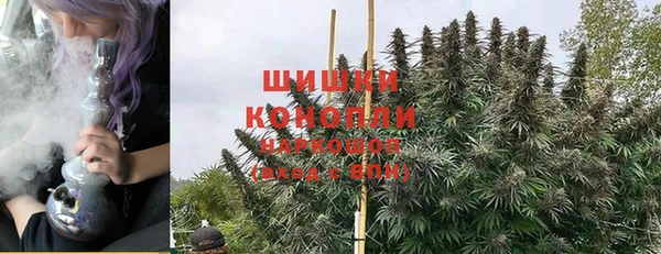 спайс Алзамай