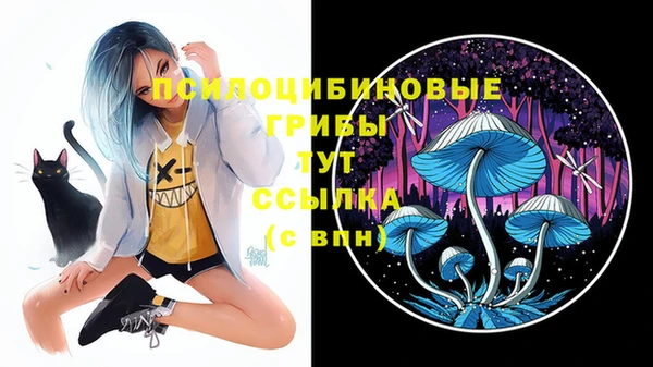 спайс Алзамай