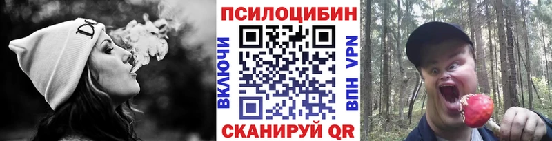 Псилоцибиновые грибы Magic Shrooms  Купить  Советск 